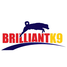BrilliantK9 Kod Kupon & Promosi BrilliantK9 Kod Kupon & Promosi